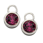 Beginnings Crystal Birthstone Hoop Earring Charms