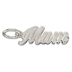 Beginnings Milestone Charms