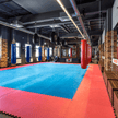 Reversible MMA Interlocking Mats
