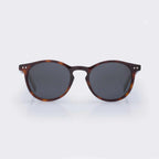 Pipeline - Tortoise Shell