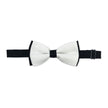Double Coloured Bow Tie (2 styles)