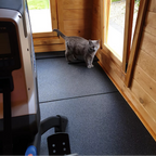 Rubber Shed Flooring Mats