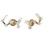 Diamonfire Zodiac Constellation Stud Earrings