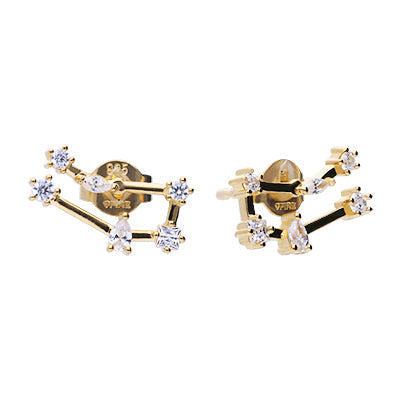 Diamonfire Zodiac Constellation Stud Earrings