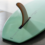 9' 6 Heritage Retro Classic Noserider Longboard Gloss Tint