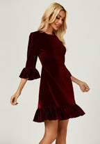 Velvet Frill Detail Mini Dress In Wine