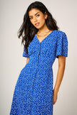 Little Floral Print Button Front Midi Dress In Blue