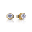 Diamonfire Six Claw Carat Stud Earrings