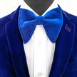Nœud papillon papillon grande taille bleu roi