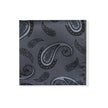 Steel Grey Paisley Tie & Pocket Square Set