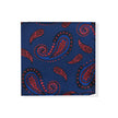 Blue Burgundy Paisley Tie & Pocket Square Set