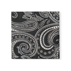 Black Silver Paisley Tie & Pocket Square Set