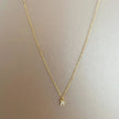 Emily Luxe Sterling Silver Plated Necklace
