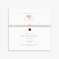 January Birthstone Bracelet Gift