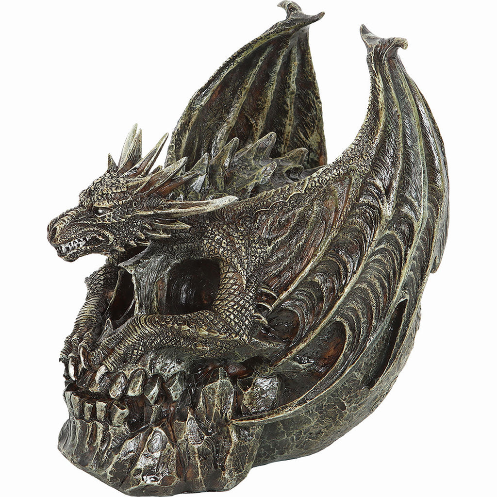 CRÂNE DRACO - Sculpture de bureau
