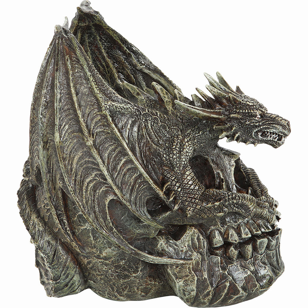 CRÂNE DRACO - Sculpture de bureau