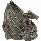 CRÂNE DRACO - Sculpture de bureau