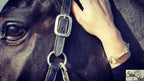 Silver Steed Large All About Snaffle Bracelet 3