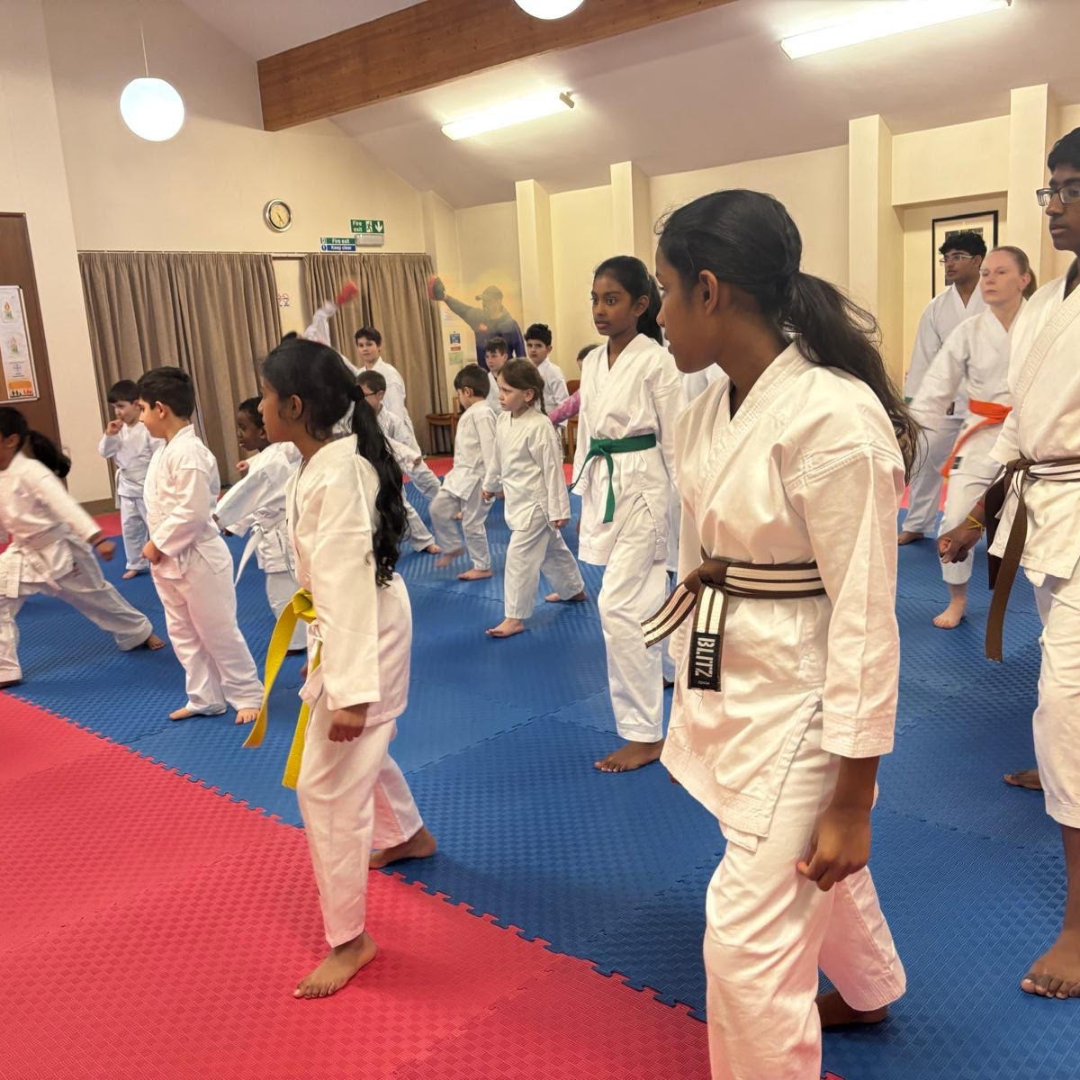 40mm Premium Karate Mats