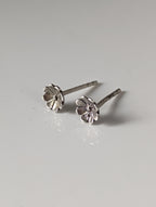 Silver Steed Pansy Stud Earrings