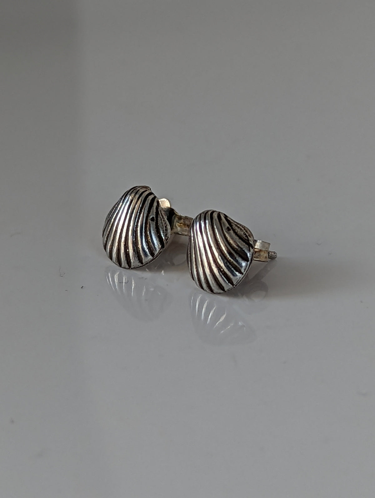 Silver Steed Shell Stud Earrings