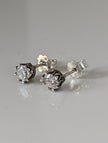 Silver Steed Crystal Crown Stud Earrings