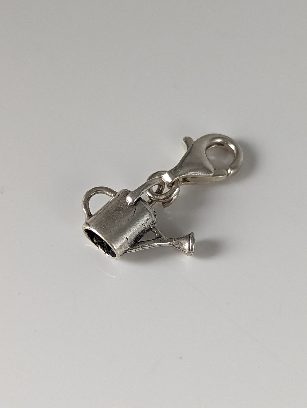Silver Steed Watering Can Silver Charm