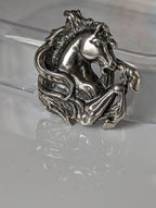Silver Steed Wild Horse Silver Charm