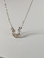 Silver Steed Crystal Horseshoe Necklace