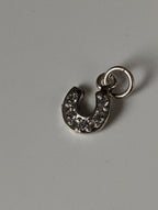 Silver Steed Crystal Horseshoe zirconnia Silver Pendant