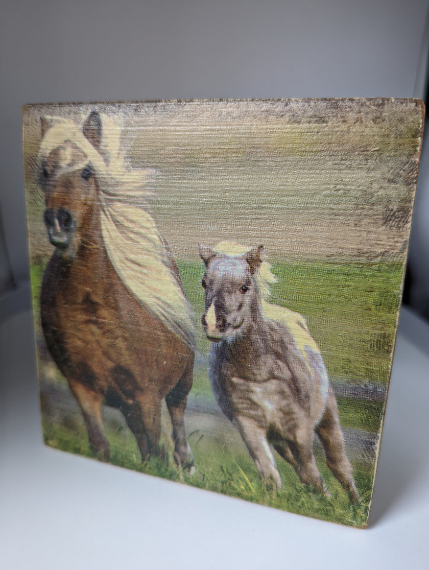 Silver Steed Tissue Boxes