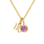 14K Gold, Silver & Rose Gold Zodiac Birthstone Necklace