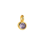 Circular Charm