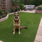 Pet-Friendly Artificial Grass for Dog Areas & Kennels