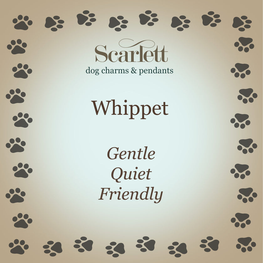 Whippet Silver Dog Charm