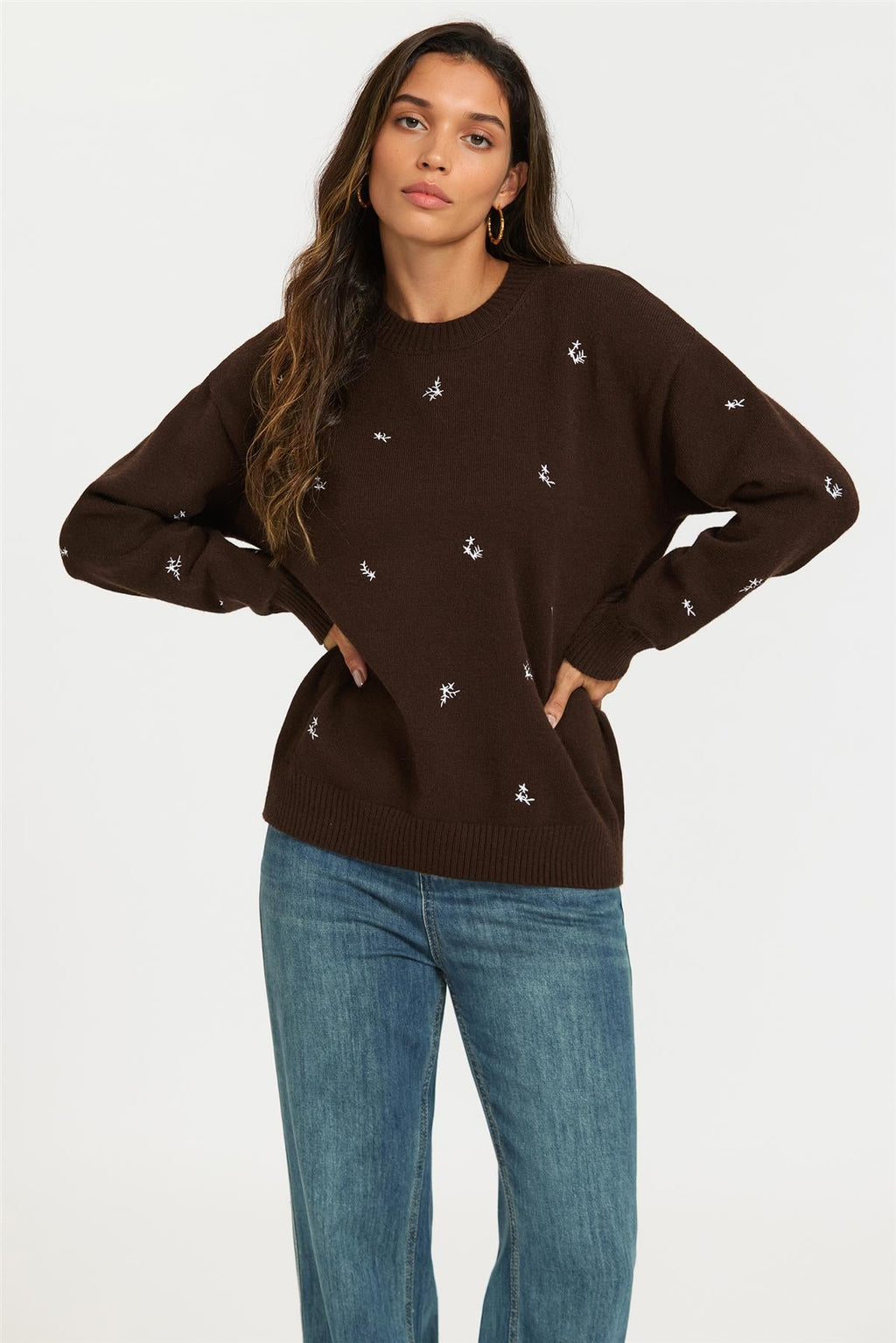 Embroidered Floral Knit Jumper Top In Brown