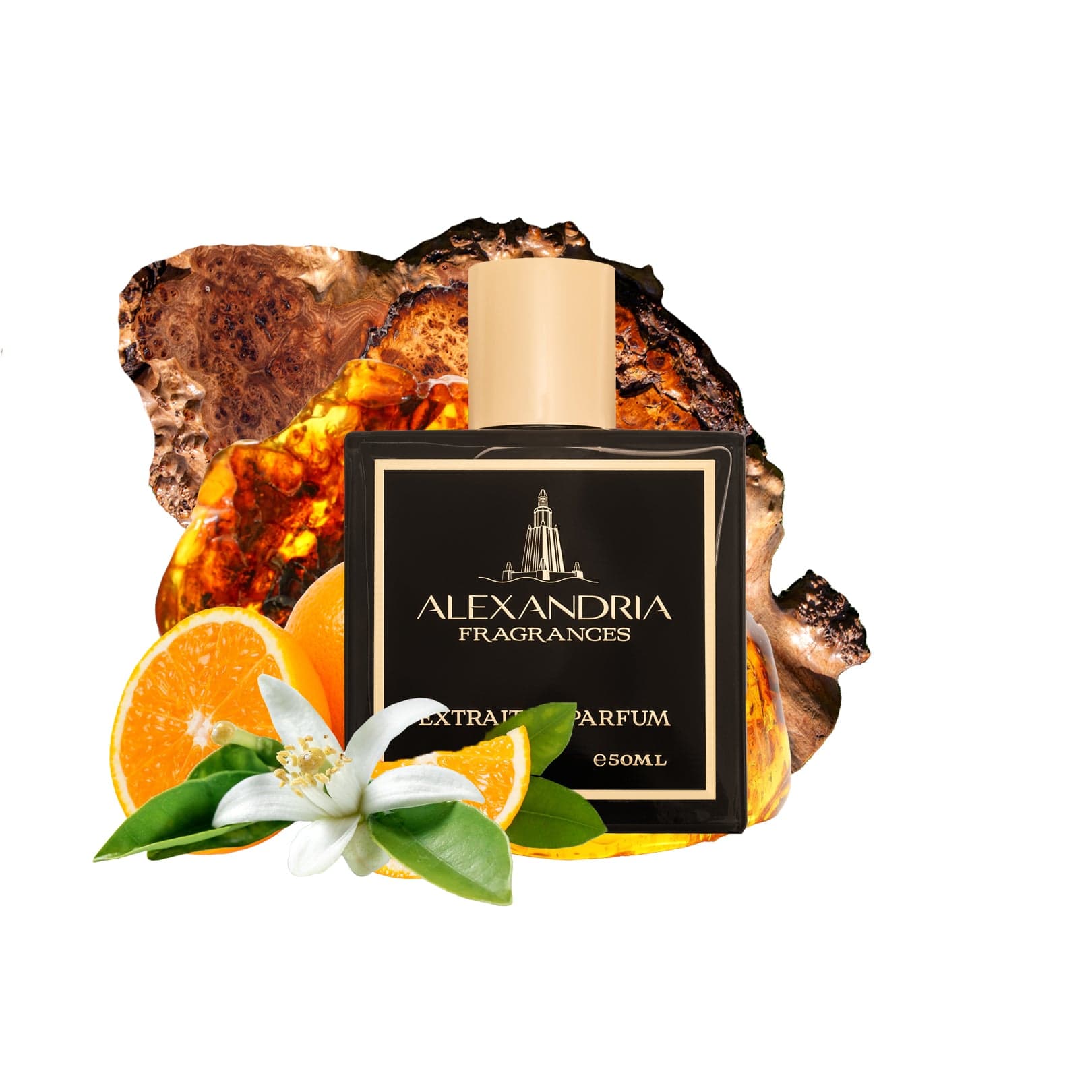 Stellar Moments Inspired by Stellar Times Louis Vuitton