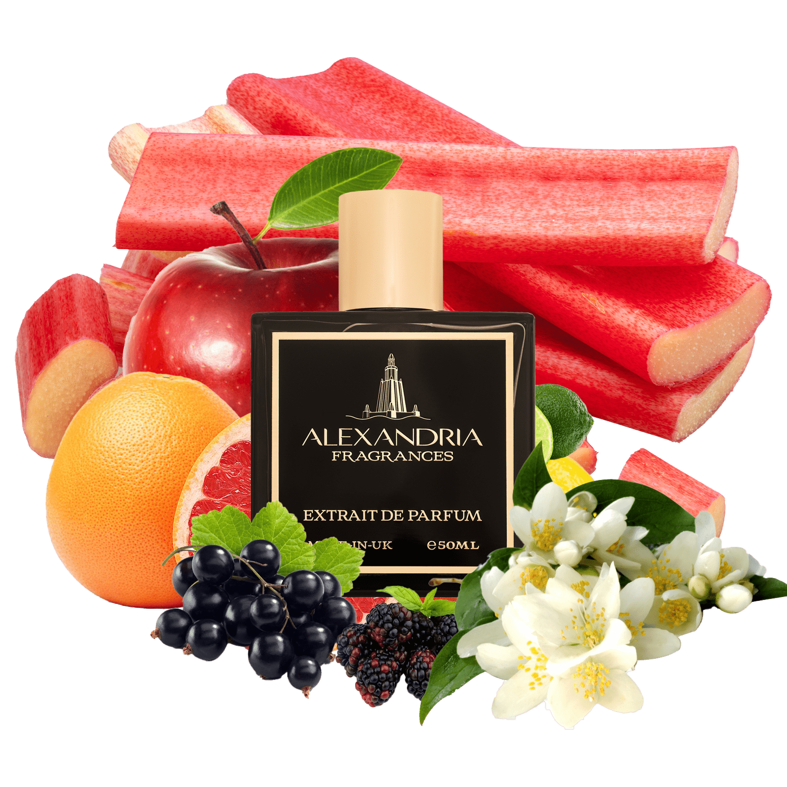 Zion INTENSE Inspired By Roja Elysium Eau Intense