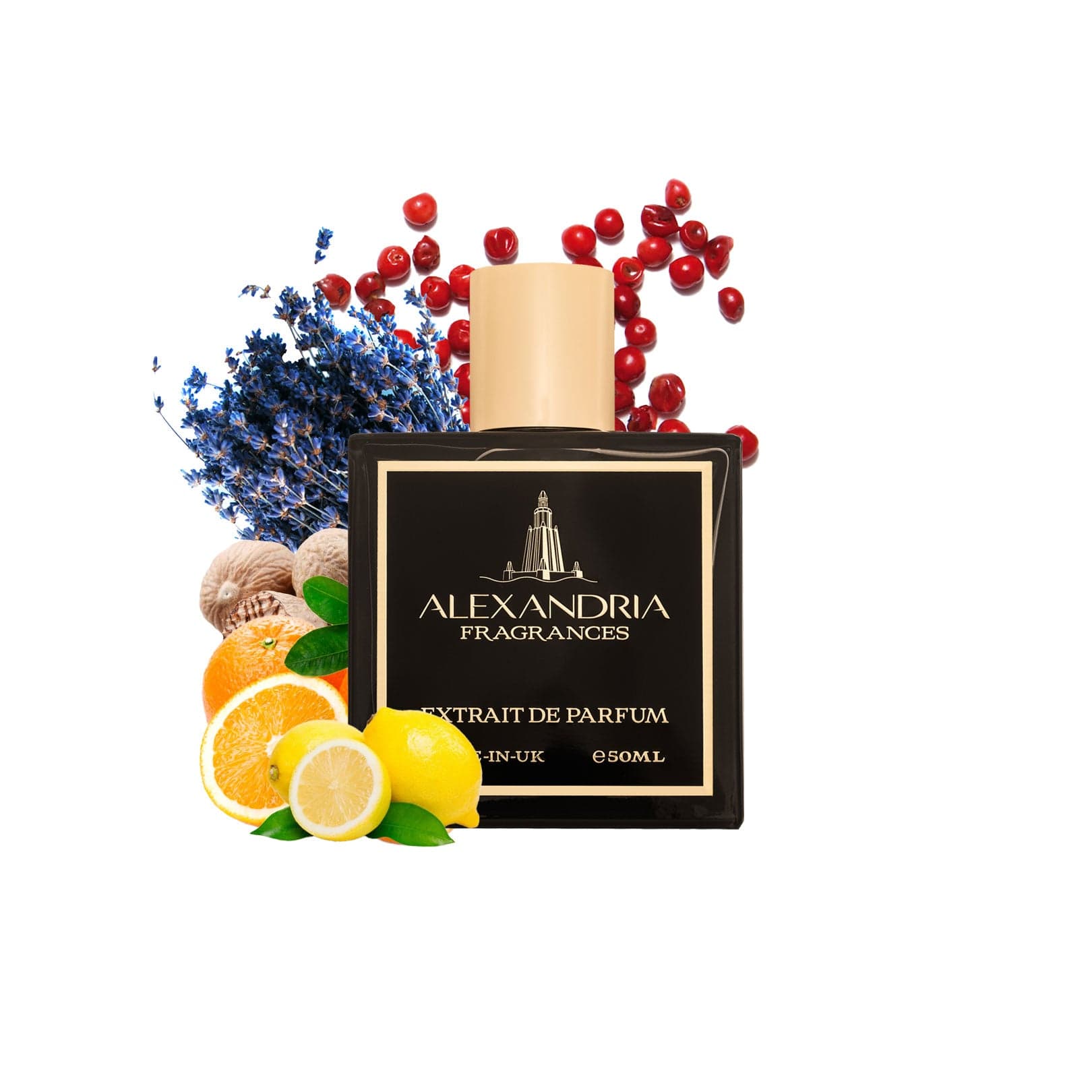 Seven Seas – Inspiriert von Viking 