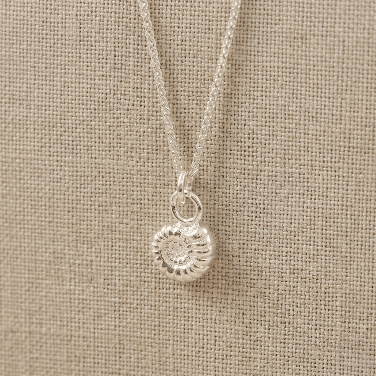 Ammonite Fossil Silver Charm