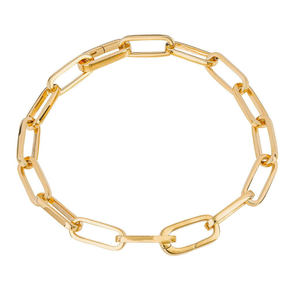 Beginnings Long Link Charm Carrier Bracelet