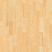 Basketball Court Flooring - Boen Boflex Stadium
