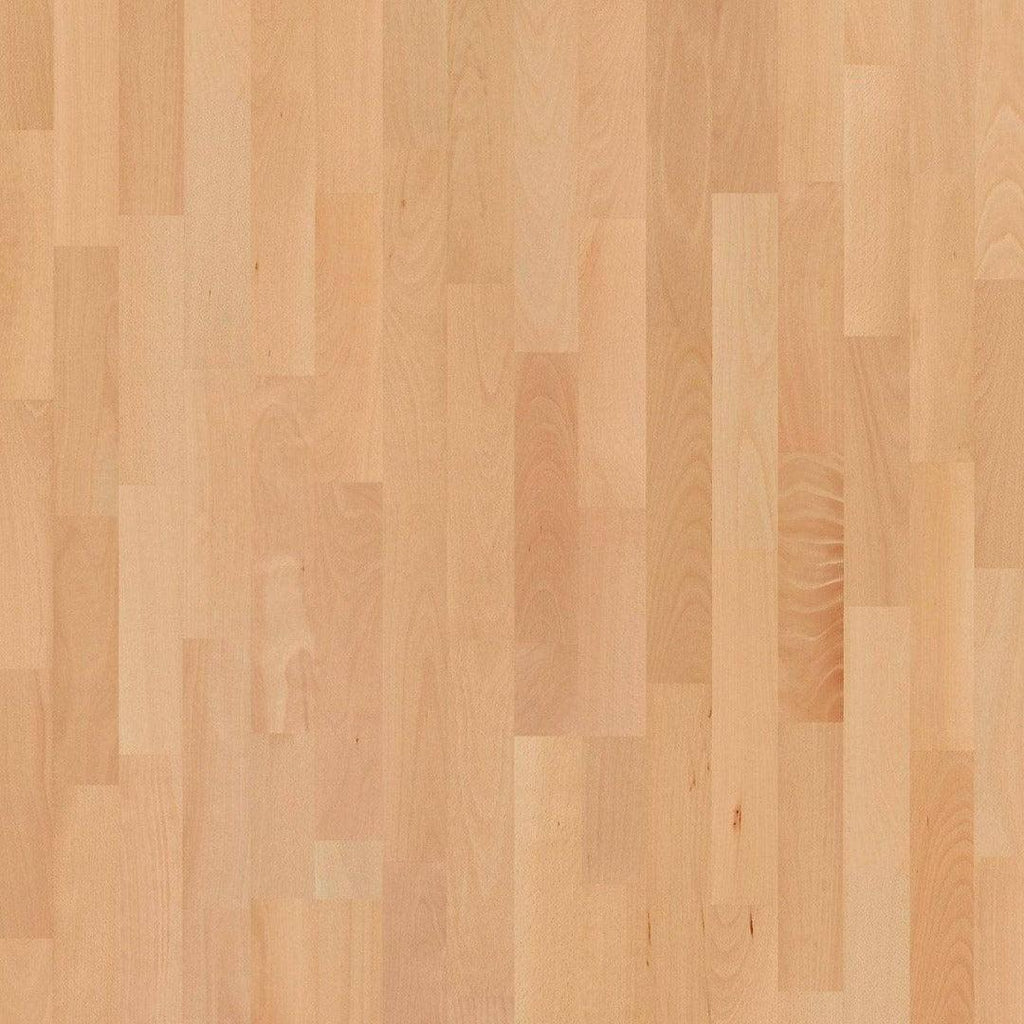 Basketball Court Flooring - Boen Boflex Stadium