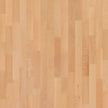 Basketball Court Flooring - Boen Boflex Stadium