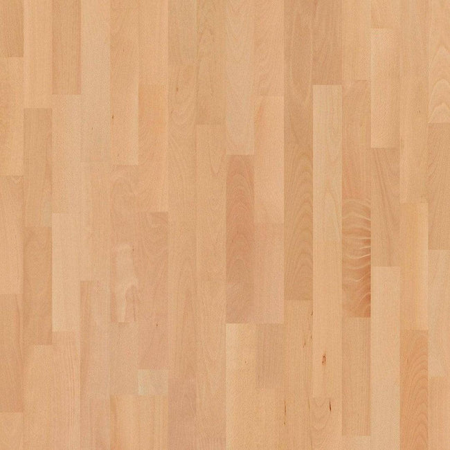 Basketball Court Flooring - Boen Boflex Stadium