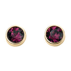 Beginnings Crystal Birthstone Earrings