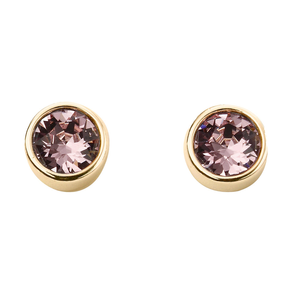 Beginnings Crystal Birthstone Earrings
