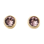 Beginnings Crystal Birthstone Earrings
