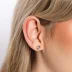 Beginnings Crystal Birthstone Earrings