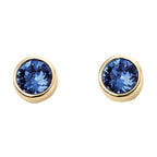 Beginnings Crystal Birthstone Earrings